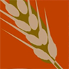 Site Icon